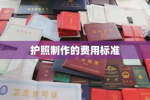 陵水护照制作的费用标准